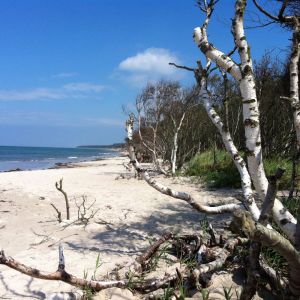 Strand_Ahrenshoop.jpg